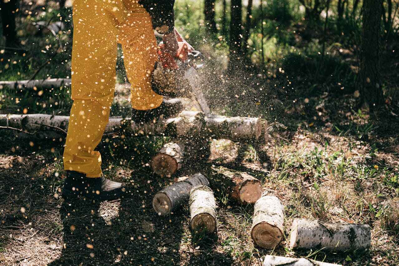 Tree Branch Trimming in Coushatta, LA